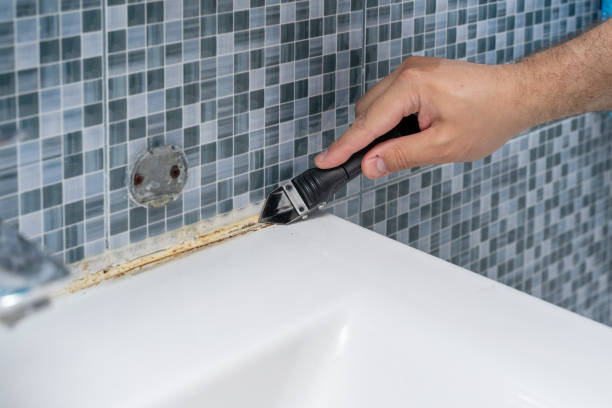 Best Mold Removal Specialists  in Mililani Mauka, HI